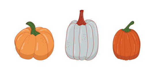 Set of three cartoon pumpkins: orange, white, and bright orange. Autumn decoration, symbol of harvest and Halloween. Illustration on white background for design, cards, and festive projects.