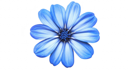 A stunning blue flower with delicate petals. elegantly positioned against a clean white background. its color and intricate details. perfect for nature-themed projects