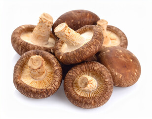 Fototapeta premium Shiitake Mushrooms Isolated