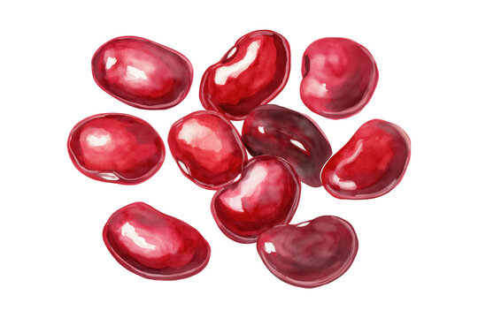 Adzuki Beans Pile Hand Drawn Watercolor Illustration