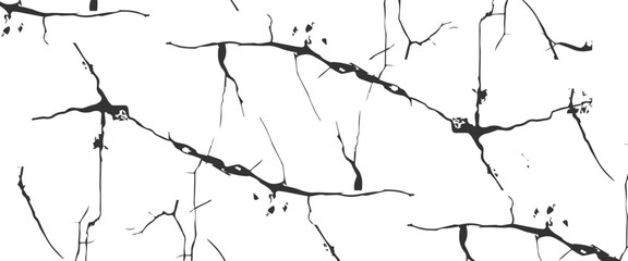 Vector Black and white grunge distress overlay texture dust and rou vector..