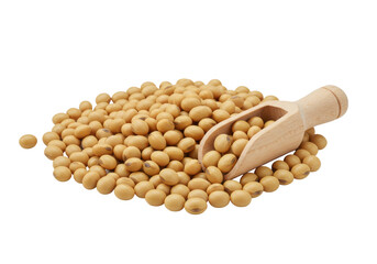 Dry, raw soybeans meticulously arranged in an artful pile with a light wooden scoop on a pristine solid transparent background under shadowless studio lighting. Concept of minimalist food product