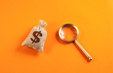 Financial investigations. Investment search. Concept for auditing, economic security, fraud prevention, corporate transparency, risk analysis and strategic business decisions.