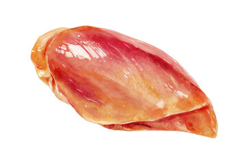 Raw Chicken Breast Fillet Hand drawn watercolor isolated food illustration