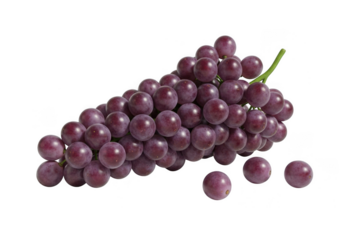 A bunch of purple grapes isolated on transparent background