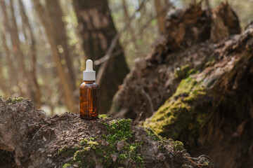 A dark and light glass serum bottle with a dropper, tree bark wood, moss. forest on a sunny day nature background. Concept of skin care, hydration, cosmetic demonstration eco-friendly product mock up