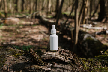 A dark and light glass serum bottle with a dropper, tree bark wood, moss. forest on a sunny day nature background. Concept of skin care, hydration, cosmetic demonstration eco-friendly product mock up