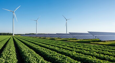 Wind turbines and solar panels beside rows of planted crops against a clear blue sky.