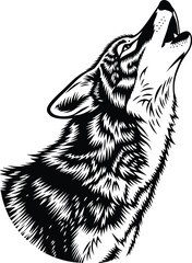 Howling wolf head vector illustration in black and white detailed style