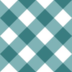 een gingham fabric	