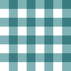 een gingham fabric	