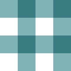 een gingham fabric	