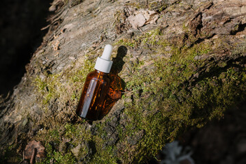 A dark and light glass serum bottle with a dropper, tree bark wood, moss. forest on a sunny day nature background. Concept of skin care, hydration, cosmetic demonstration eco-friendly product mock up