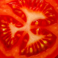 Close up of fresh tomato slice with juicy red pulp and seeds, healthy vegetable background for diet and organic food design.