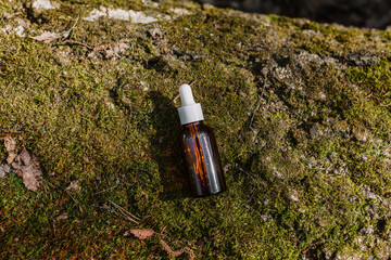 A dark and light glass serum bottle with a dropper, tree bark wood, moss. forest on a sunny day nature background. Concept of skin care, hydration, cosmetic demonstration eco-friendly product mock up