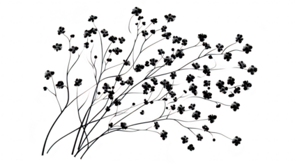 A delicate arrangement of black floral silhouettes gracefully arching across a white background. evoking a sense of elegance and simplicity. ideal for nature-themed designs or backgrounds