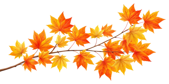 Realistic Autumn Tree Branch with Colorful Fall Leaves Isolated on Dark Background
Detailed Illustration of Fall Foliage Branch in Warm Autumn Colors