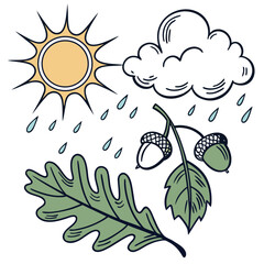 Autumn weather with sun rain oak leaves and acorns