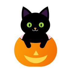 halloween cat with pumpkin
