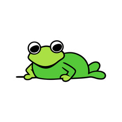 frog on white background