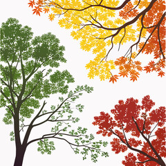 Four seasons tree branches with colorful foliage