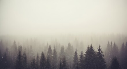 Misty Forest Landscape in Monochrome with Snowfall and Soft Light