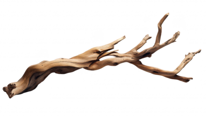 A beautifully twisted piece of driftwood natural textures and colors. ideal for decorative purposes or artistic displays. set against a clean white background emphasizing its organic form