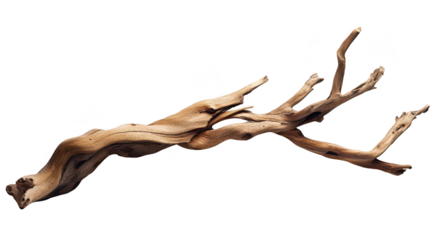 A beautifully twisted piece of driftwood natural textures and colors. ideal for decorative purposes or artistic displays. set against a clean white background emphasizing its organic form