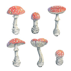 Set of watercolor fly agaric mushrooms in fairytale style. Hand-painted picturesque illustration of amanitas with whimsical details. Perfect for autumn decor, greeting cards, seasonal crafts, textiles