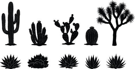Fototapeta premium Desert Plant Silhouette Set Featuring Cacti and Agave Varieties – Black Botanical Icons for Landscaping, Nature Education, or Southwestern Design Themes