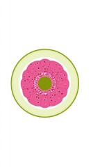 Circular cross-section, pink flower, green center, light lime ring
