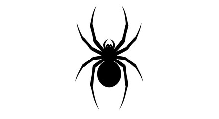 Black silhouette of a spider on a white background