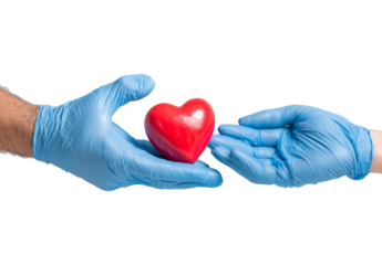 Two Hands with Blue Gloves Passing Red Heart on White Background