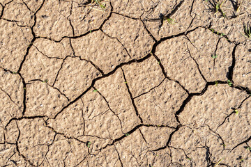 Dry Cracked Soil Texture. Close-up of dry cracked earth surface, natural drought soil texture.