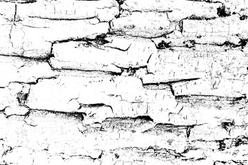 White Marble Crack Texture Background. High-resolution white marble cracked texture, perfect for backgrounds, design projects, and digital use.