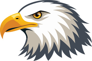 Fototapeta premium Vector illustration of american bald eagle