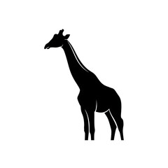 Fototapeta premium Black silhouette of a giraffe standing, isolated on white background