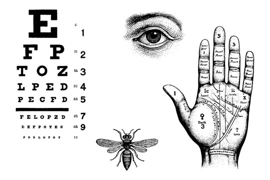 Vintage collage with eye chart palmistry hand detailed insect and human eye, Transparent Background