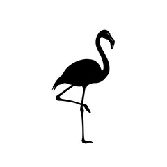 Silhouette of a flamingo standing on one leg isolated on white background