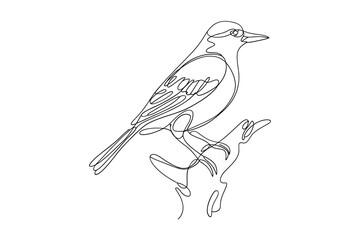 Detailed line drawing of a bird perched on a branch