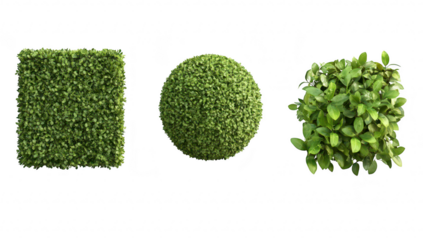 A collection of three distinct green decorative plants. a square. a round. and a compact bushy form. set against a clean white background. ideal for interior design and landscaping use