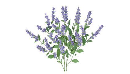 Obraz premium A bouquet of purple lavender flowers with green leaves arranged artistically on a clean white background. ideal for use in floral design. home decor. or wellness themes