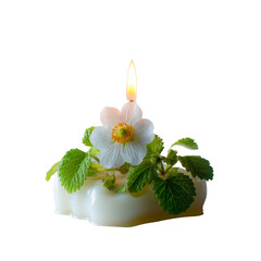 A candle with a flower on top of it isolated on a transparent background