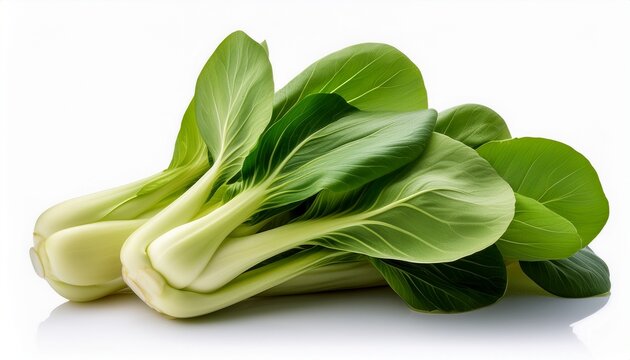 bok choy on white background