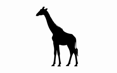 Fototapeta premium giraffe vector illustration