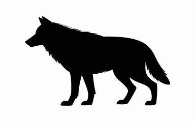 wolf vector illustration