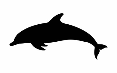 silhouette of a dolphin
