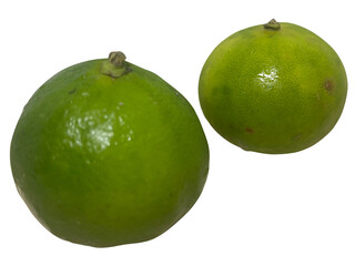 Fresh lime fruit isolated on white background