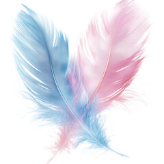 Obraz premium Two delicate feathers. one blue and one pink. elegantly crossing each other against a soft white background. creating a serene and artistic ambiance suitable for creative projects