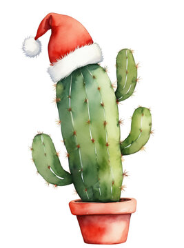 Funny watercolour illustration of a cactus in a clay poy with a christmas santa hat isolated background